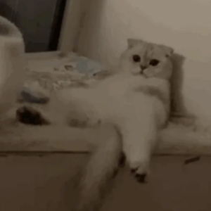 麦乐迪马克思女超人wwwxxx在线
